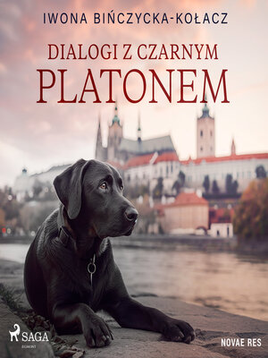 cover image of Dialogi z czarnym Platonem